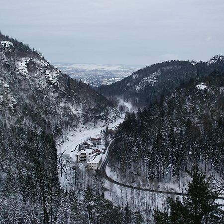Апартаменты Wohlfuehlzeit Im Zittauer Gebirge Экстерьер фото