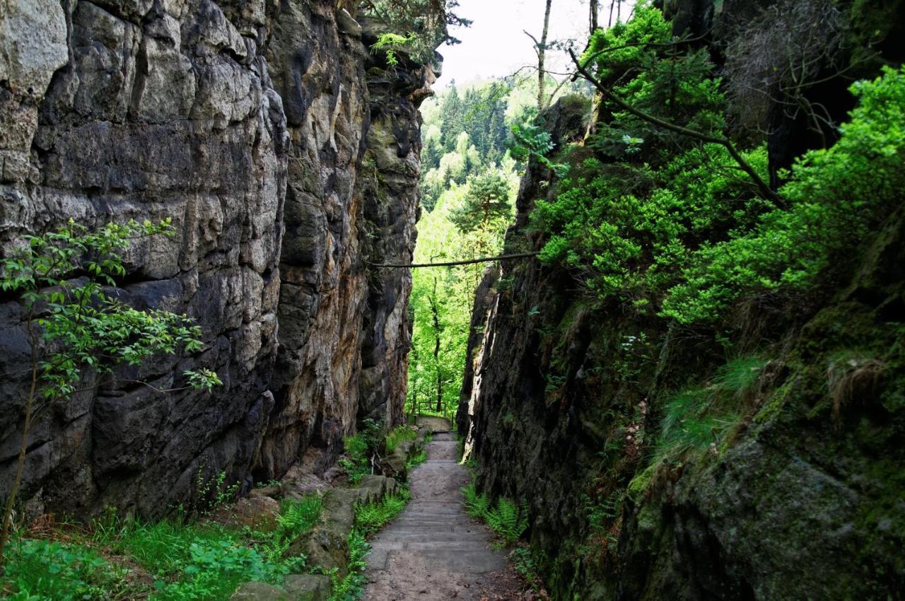 Апартаменты Wohlfuehlzeit Im Zittauer Gebirge Экстерьер фото